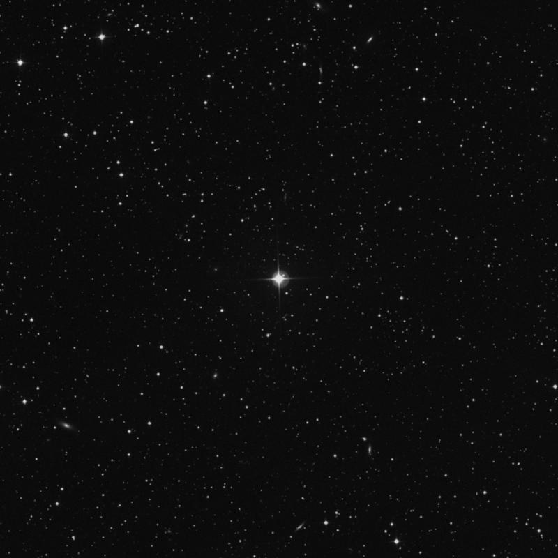 Image of HR979 star