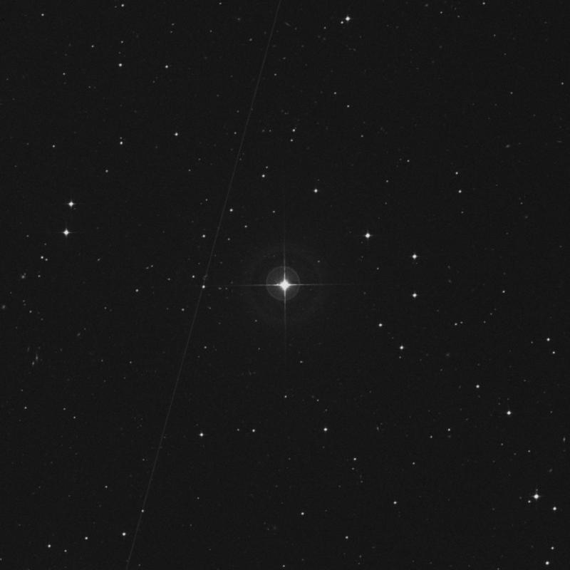 Image of HR980 star