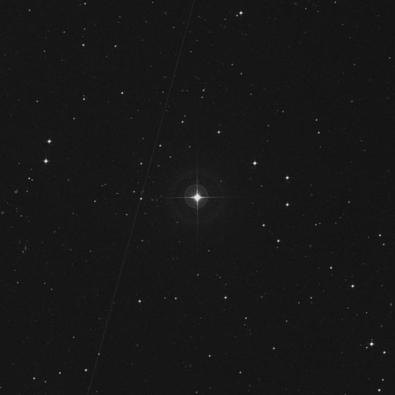 Image of HR980 star