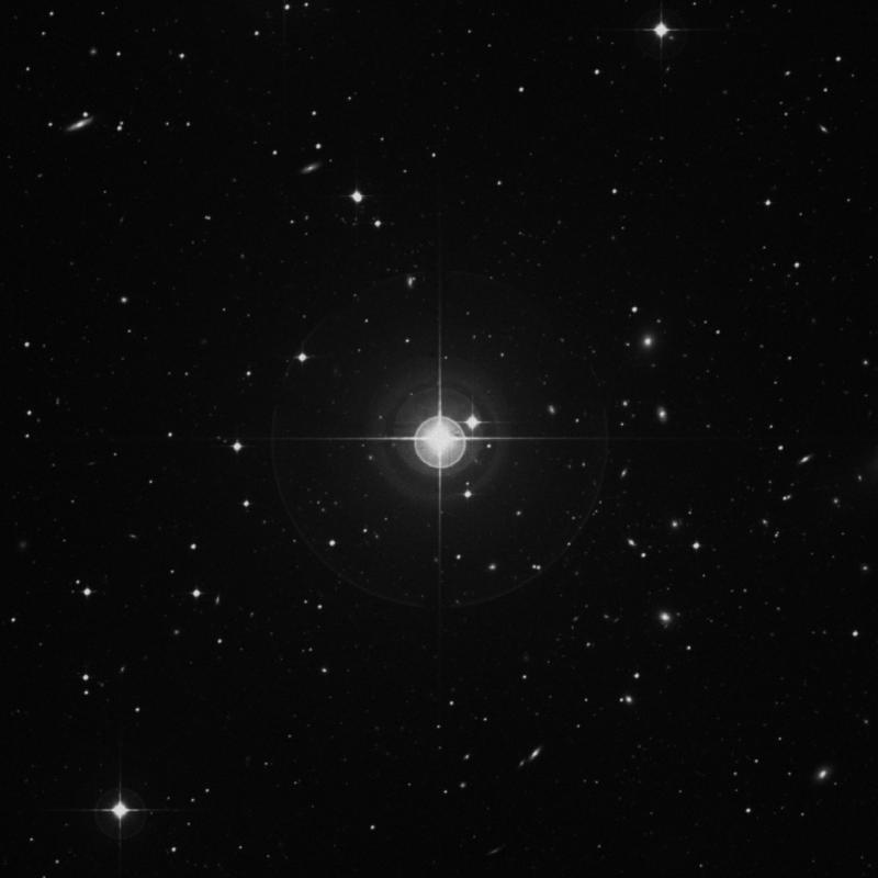 Image of δ Sculptoris (delta Sculptoris) star