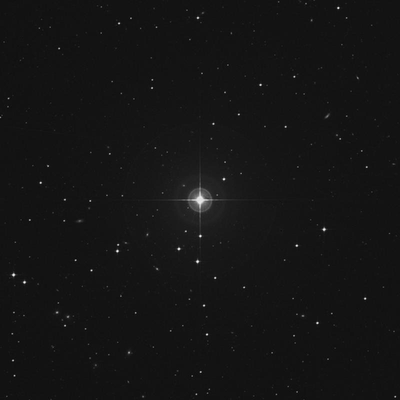 Image of ζ Sculptoris (zeta Sculptoris) star