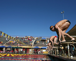 Swimming and Diving Wallpapers