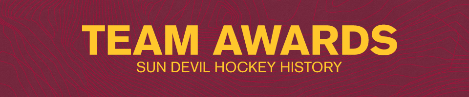 team awards banner hockey