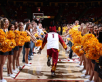 Sparky Mascot Basketball