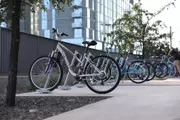 cycle.webp