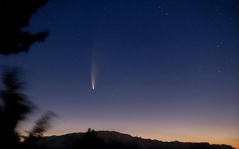 Comet C/2020 F3 (NEOWISE) captured in July 2020. Copyright © 2021 TheSkyLive.com