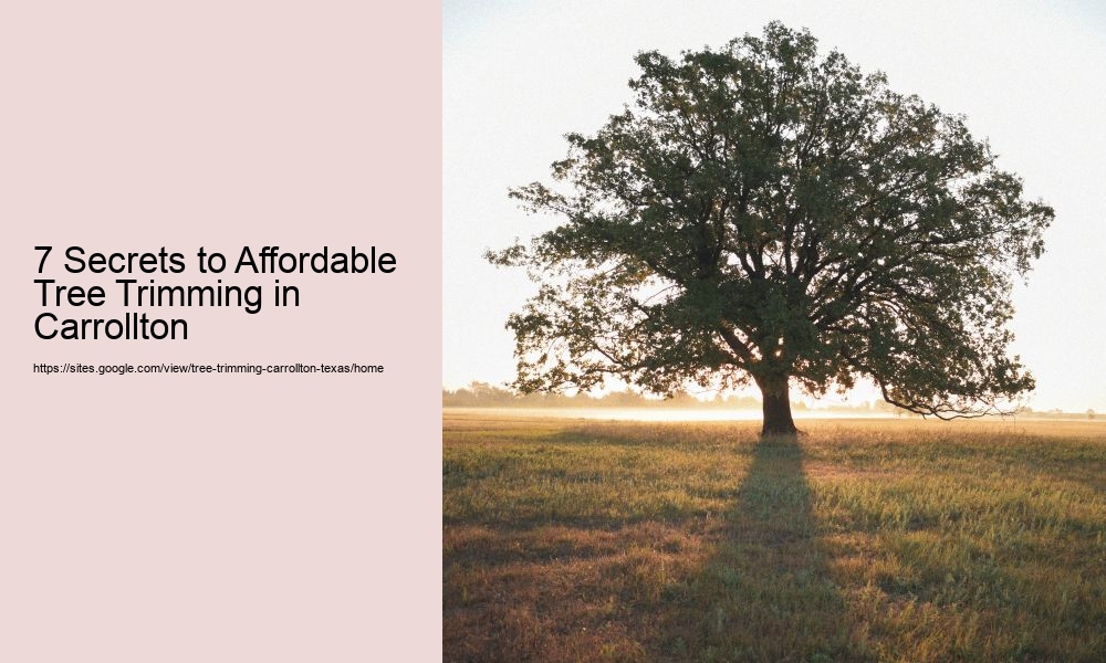 7 Secrets to Affordable Tree Trimming in Carrollton