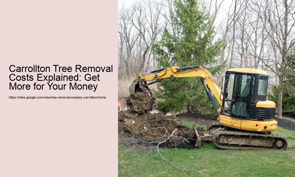 Carrollton Tree Removal Costs Explained: Get More for Your Money