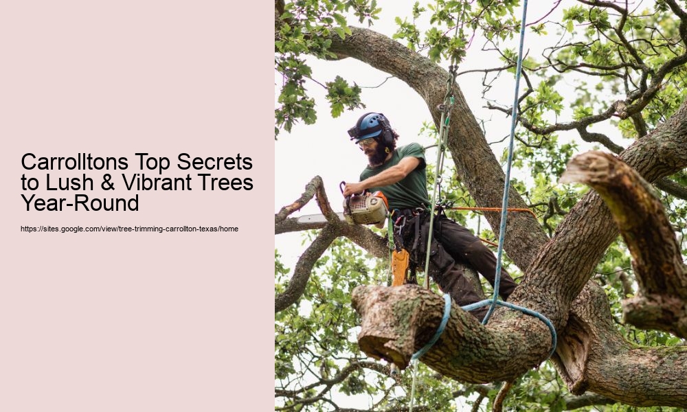 Carrolltons Top Secrets to Lush & Vibrant Trees Year-Round