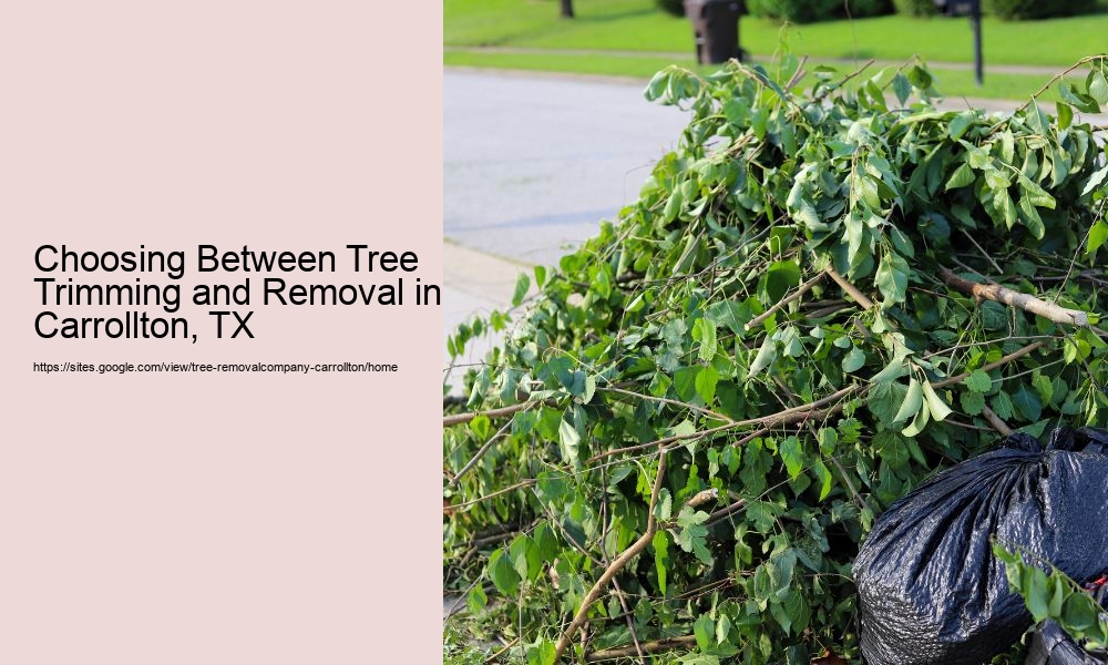 Choosing Between Tree Trimming and Removal in Carrollton, TX