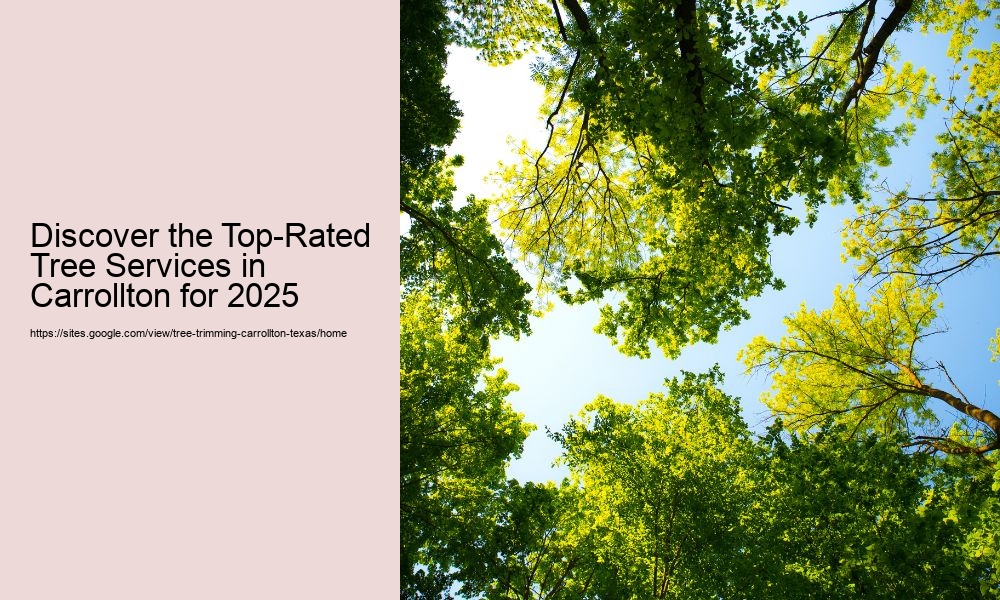 Discover the Top-Rated Tree Services in Carrollton for 2025