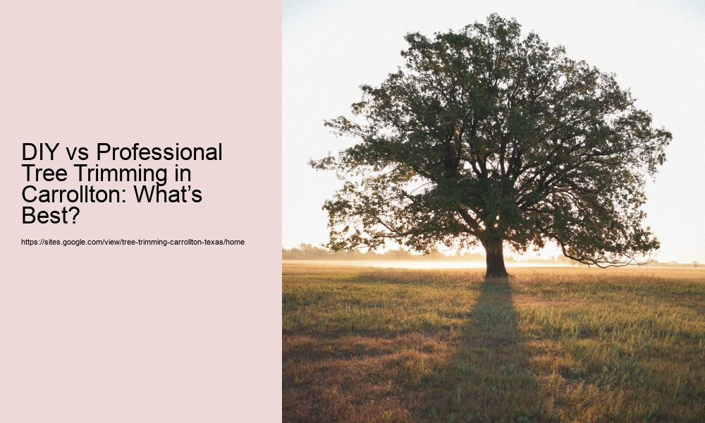 DIY vs Professional Tree Trimming in Carrollton: What’s Best?