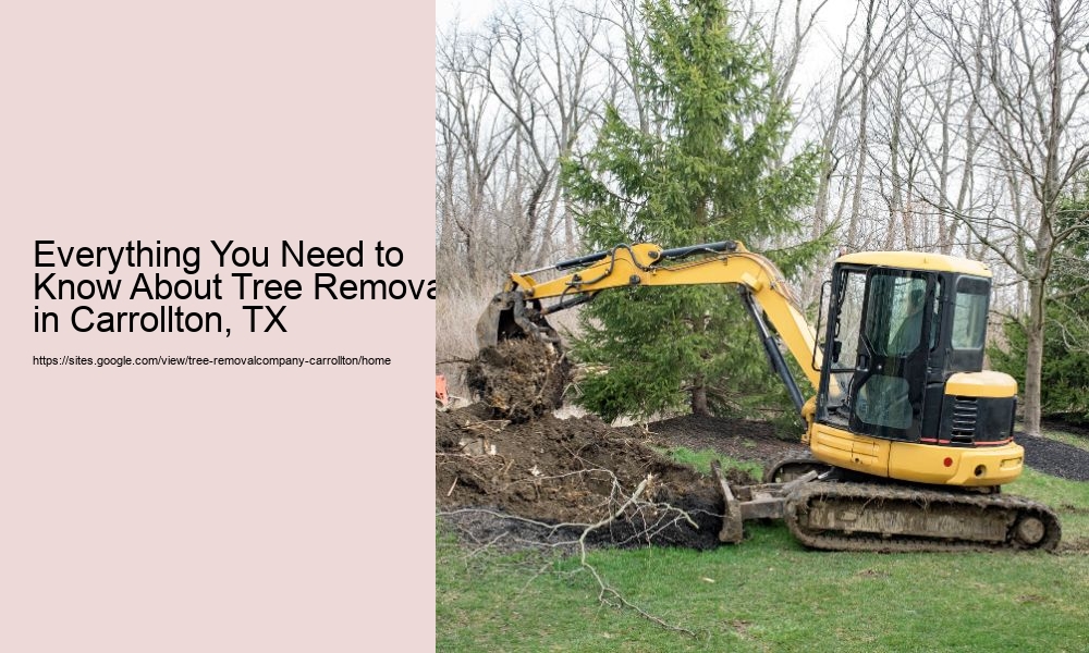 Everything You Need to Know About Tree Removal in Carrollton, TX