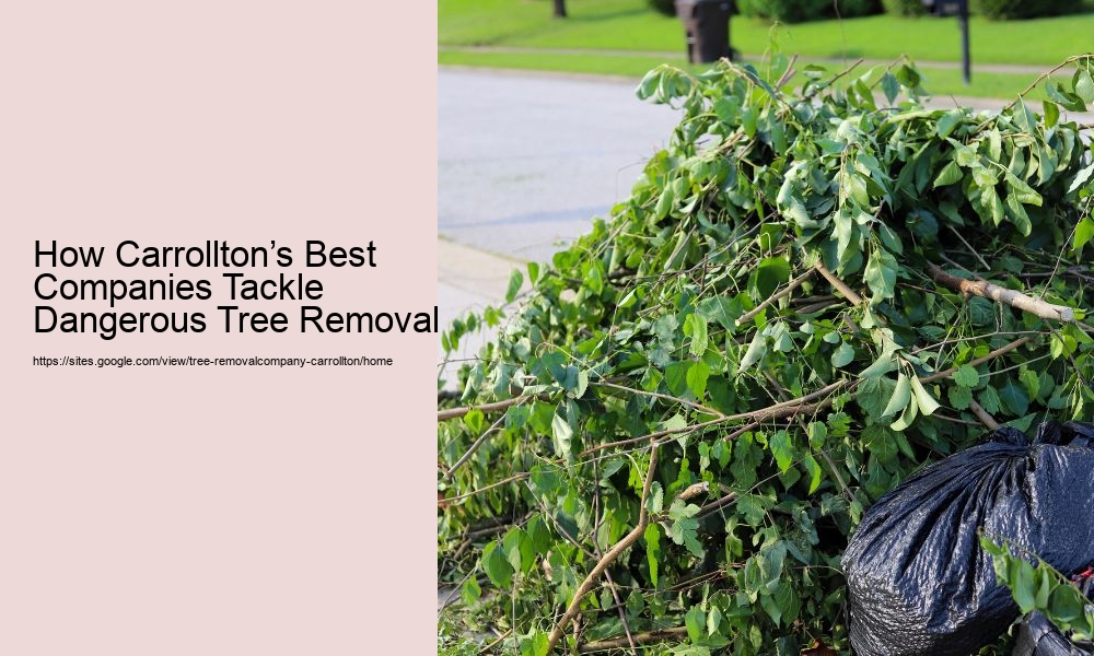 How Carrollton’s Best Companies Tackle Dangerous Tree Removal