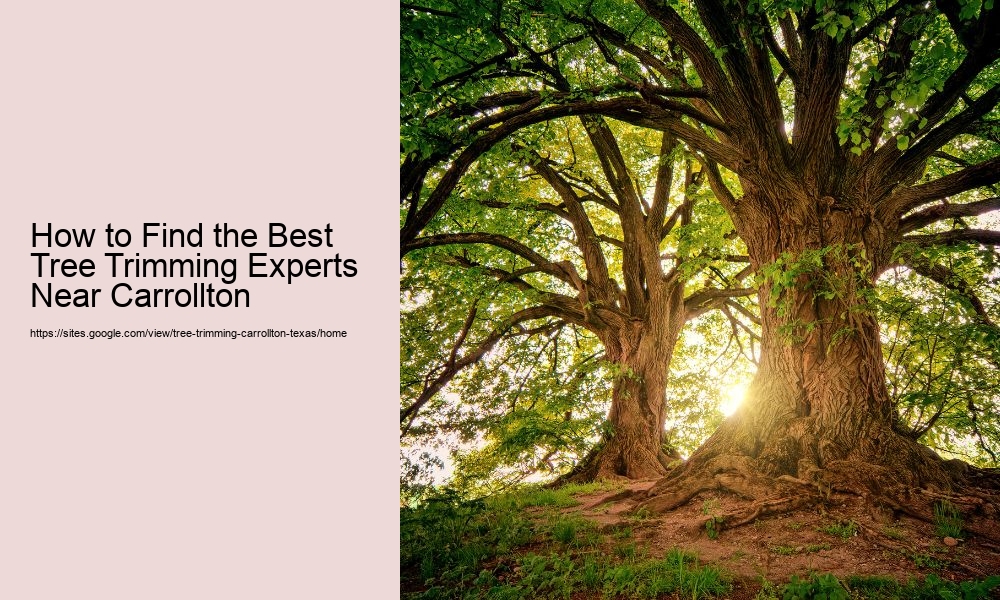How to Find the Best Tree Trimming Experts Near Carrollton