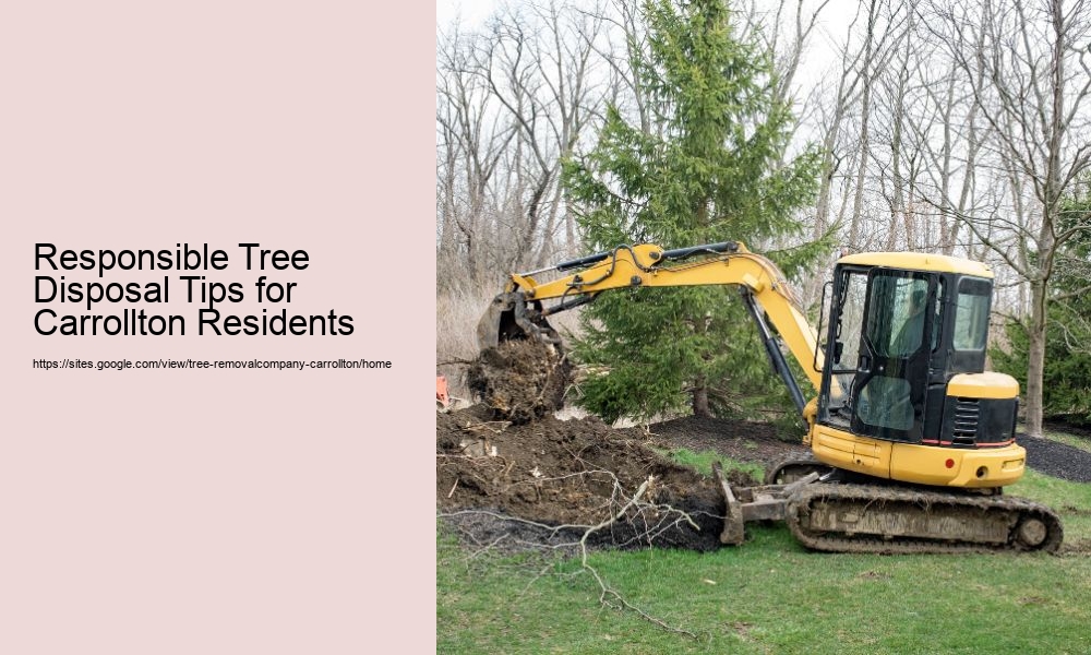 Responsible Tree Disposal Tips for Carrollton Residents