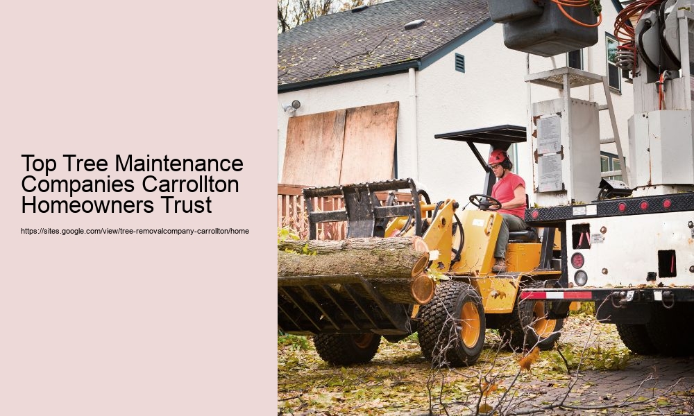 Top Tree Maintenance Companies Carrollton Homeowners Trust
