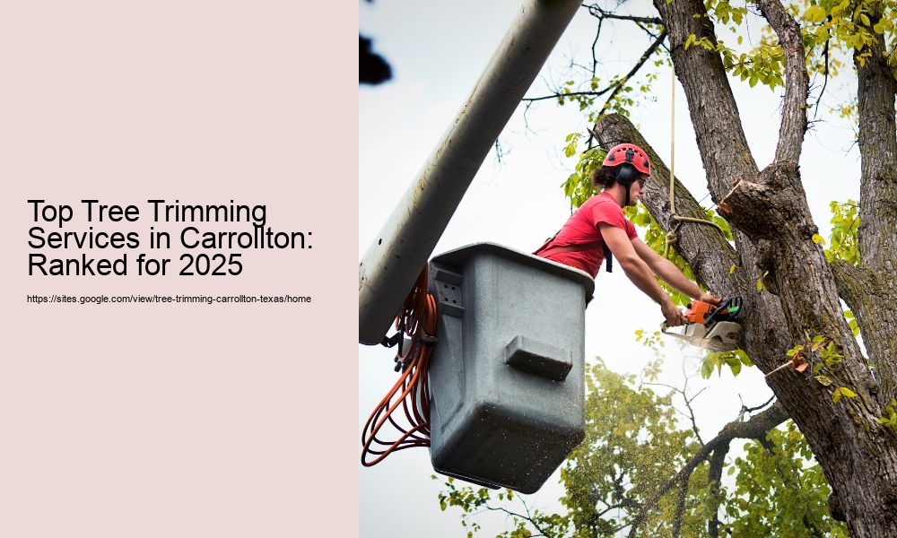Top Tree Trimming Services in Carrollton: Ranked for 2025