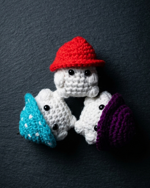 3 Musketeers Mushroom (Pack of 3 Random Color)