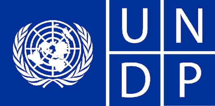 5f6dd4cc undp logo UNDP, EU to Train 500 Youths in Entrepreneurial Skills in Borno