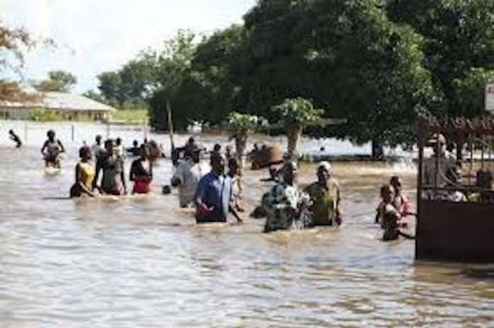 65d24fee flood Flood Submerges Yola Metropolis  - THISDAYLIVE