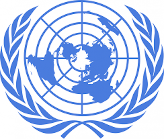 UN Condemns Killing of Abducted Aid Worker in North East | THISDAYLIVE