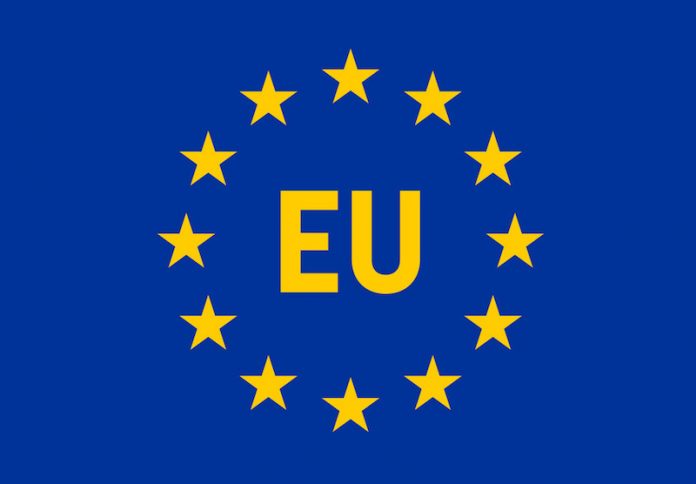 4881e1db european union 150 Killed During 2019 Elections, Says EU Observation Mission