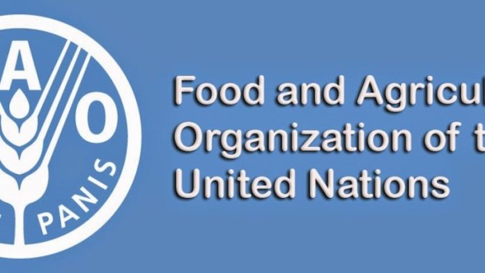 188478a4 fao FAO Moves to Mitigate Rising Threats from Antimicrobial Resistance