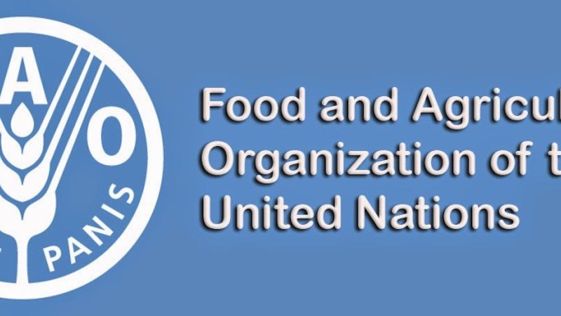 FAO Unveils 9 Year Strategic Framework to Combat Climate Change - THISDAY Newspapers