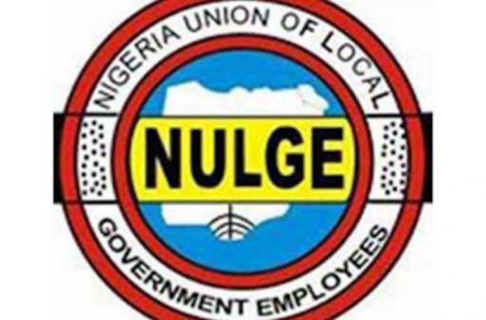 08e3986f nulge NFIU Directive: 12 Niger LGs Can't Pay Salaries as State Govt Fails to Remit 10% Contribution