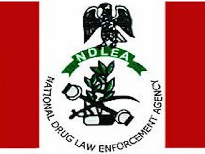 a89f7a5e ndlea NDLEA Arrests Suspects with 2.927kg of Cocaine in Kano