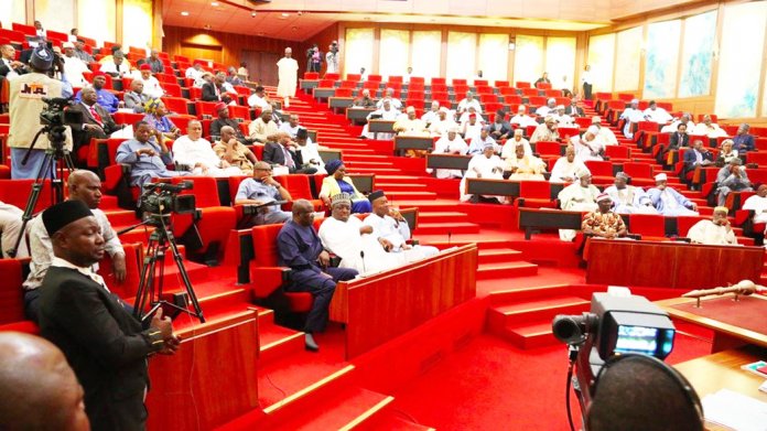 Senate Minority Caucus Opposes Onochie's Nomination as ...