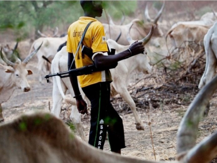 [Image: 899d6959-fulani-herdsmen-696x522.jpg]