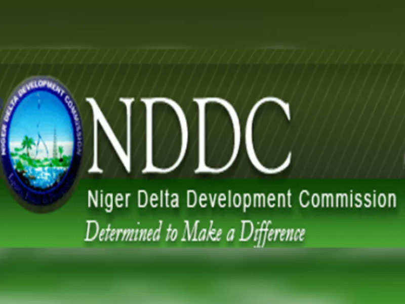 Group Flays Adesina’s Commentary on NDDC