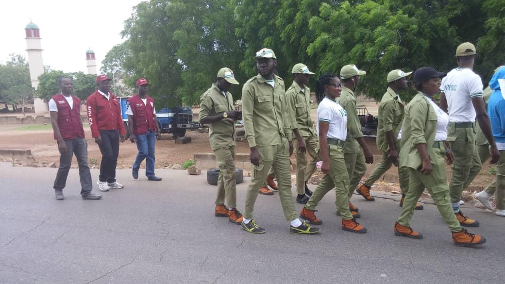 Bauchi Ndlea Seizes 4 465kg Of Cannabis Other Drugsthisdaylive