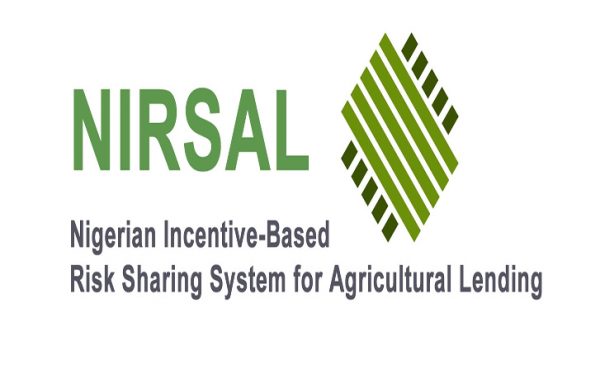 Image result for NIRSAL