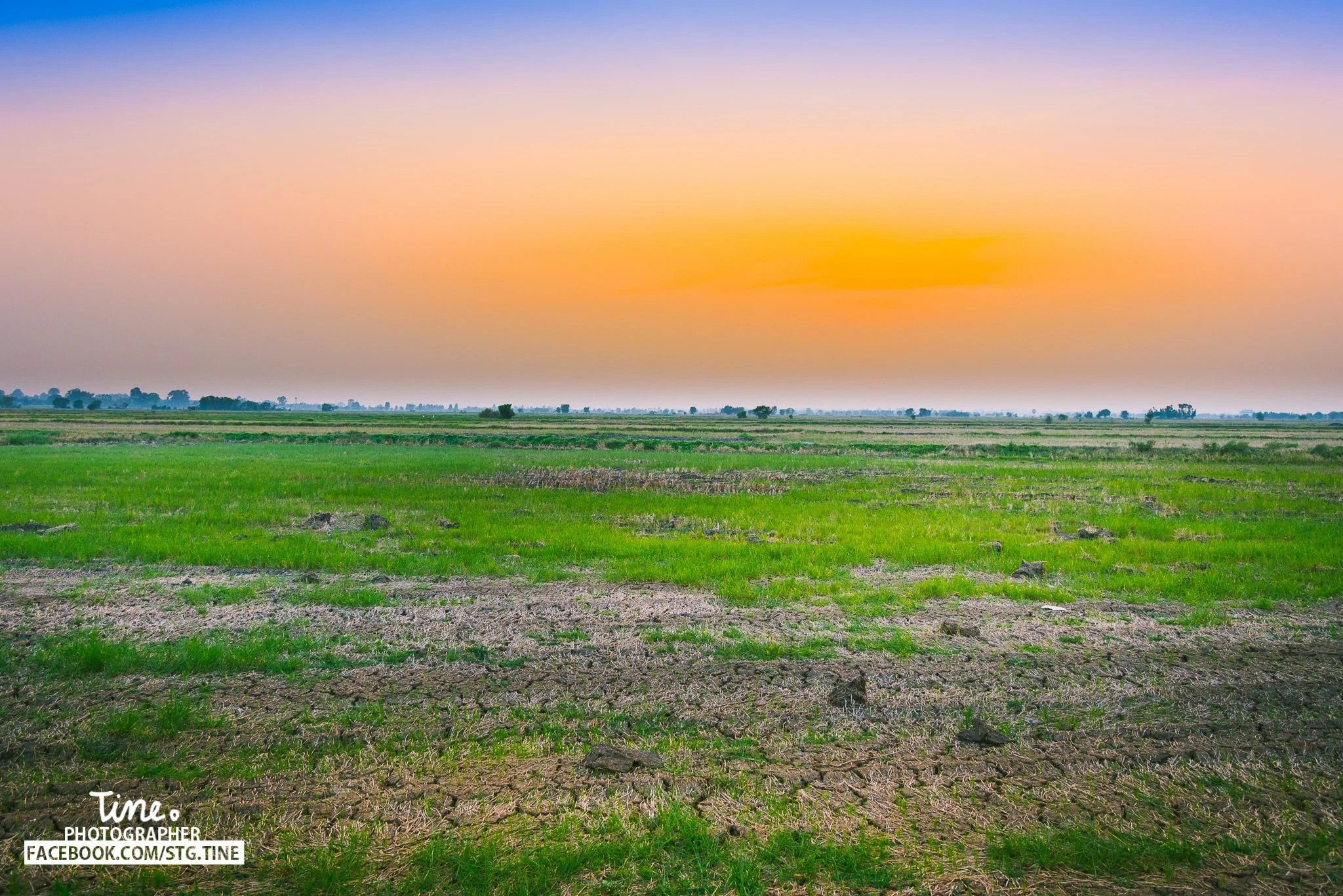 Thistine | Sittichok ouamsiri | country side