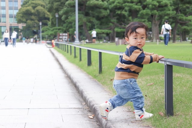 ポートフォリオ