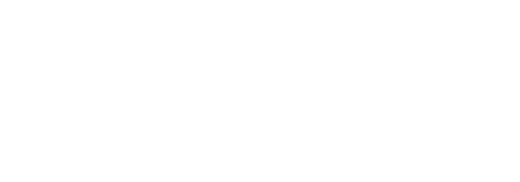 niceonesa logo