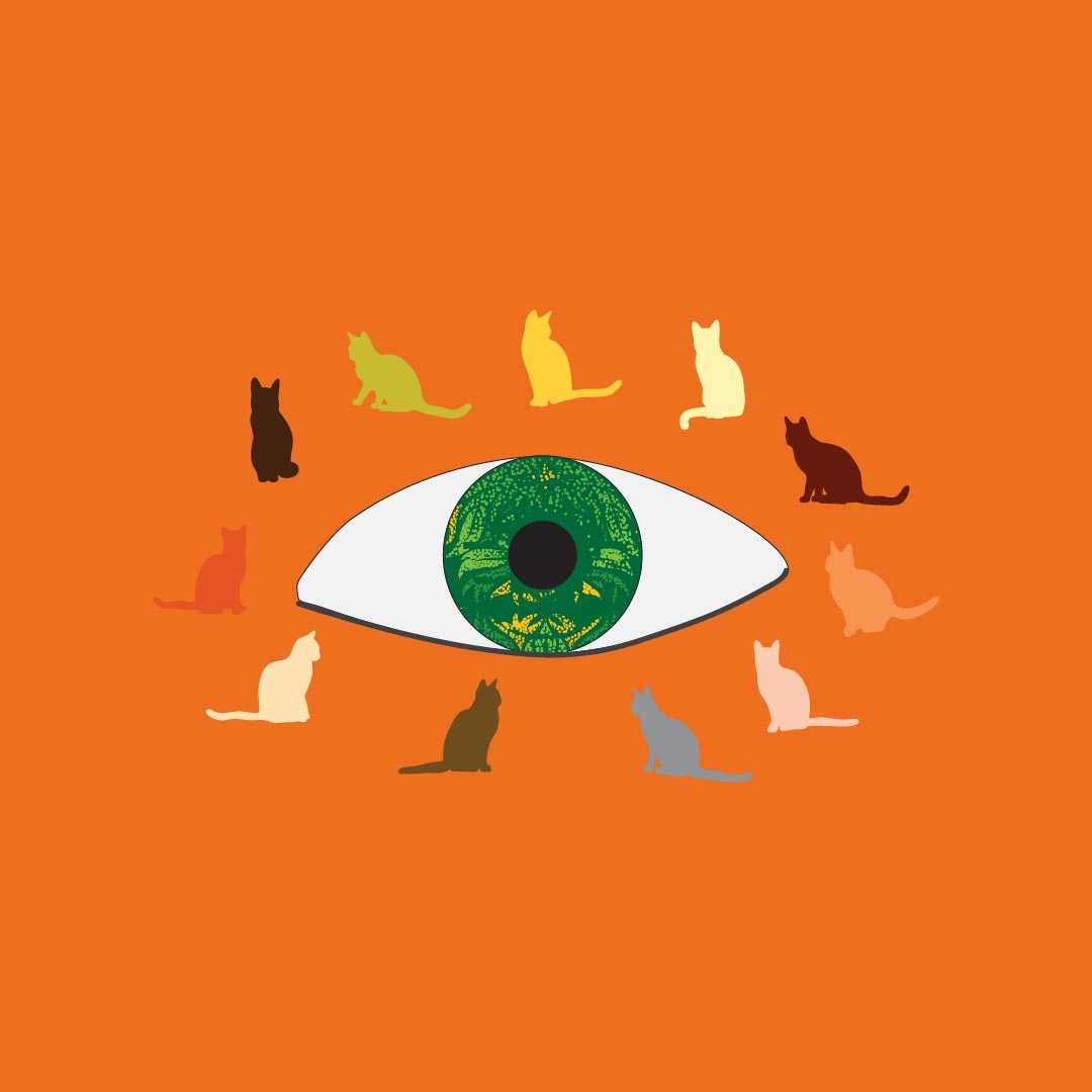 Icon graphic