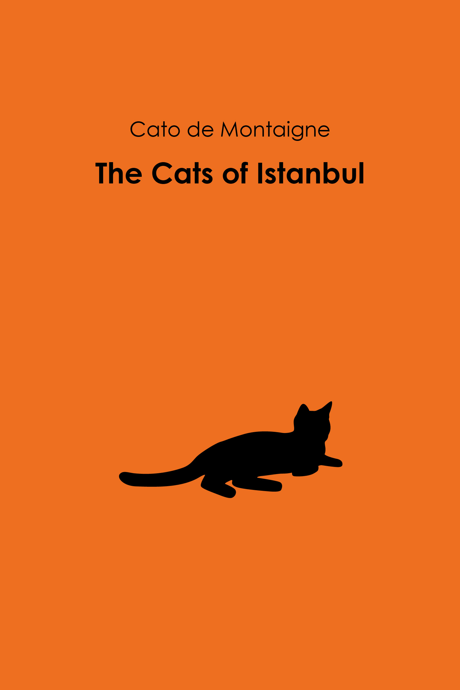 The Cats of Istanbul Cover