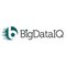 BigDataIQ