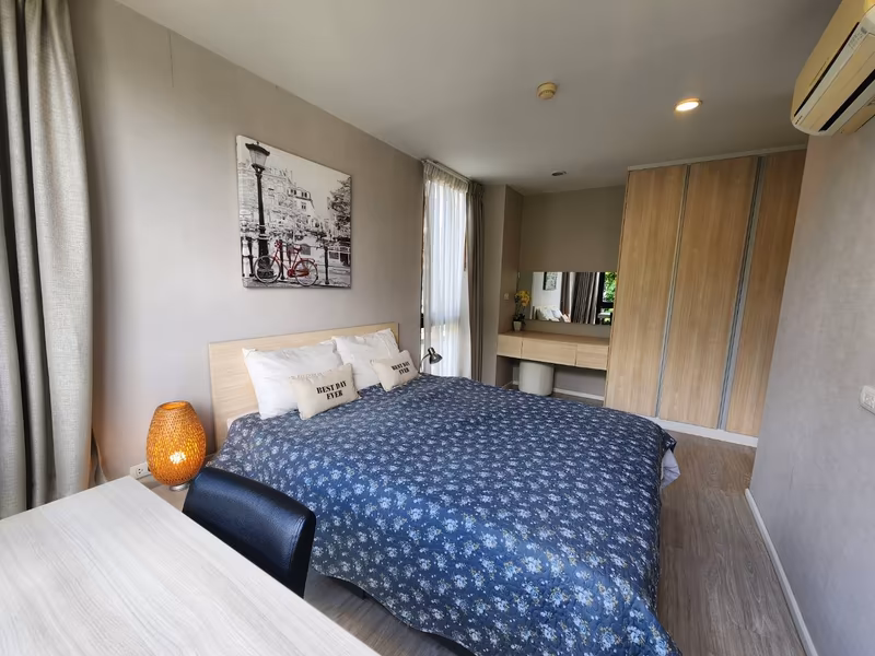 Palm Springs Areca - Image 3