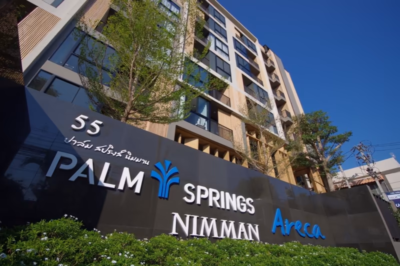 Palm Springs Areca - Image 7