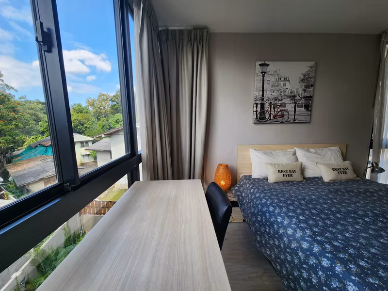 Palm Springs Areca - Image 11