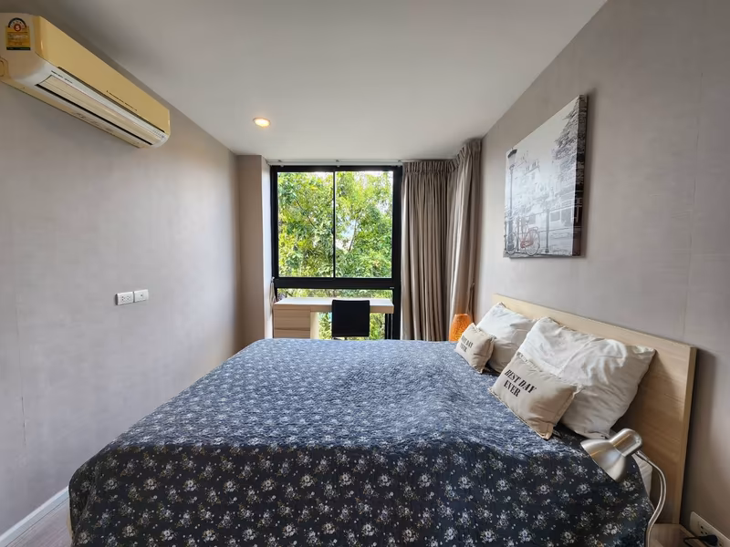 Palm Springs Areca - Image 4