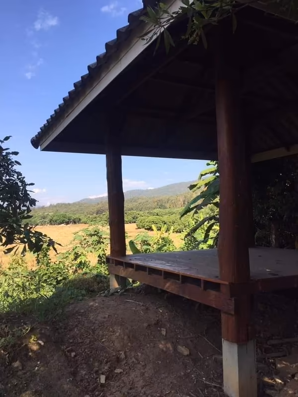 3 卧室 独立房屋 出售 在 - Image 10