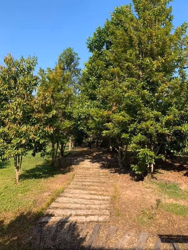 3 卧室 独立房屋 出售 在 - Image 11