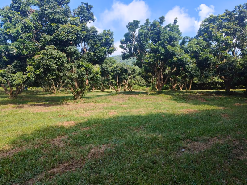 Land For Sale in Nam Phrae, Hang Dong, Chiang Mai - Image 6