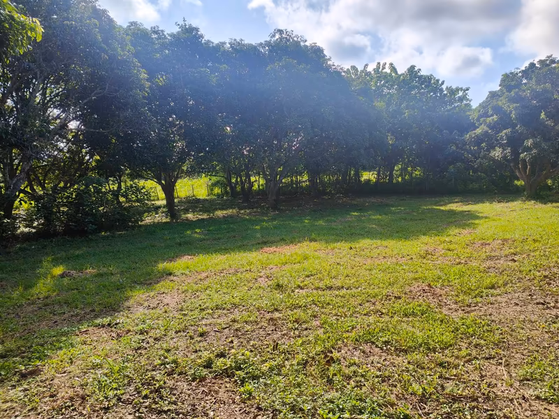  Land For Sale in Nam Phrae, Hang Dong, Chiang Mai - Image 7